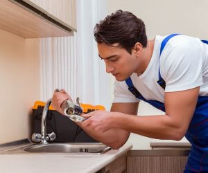 About Emergency plumbing pros Flag Pond, TN